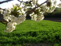 /album/elado-csaladi-haz/a2013-aprilis-23-057-jpg/